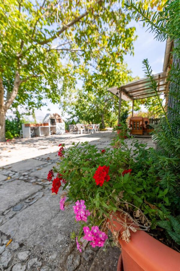 Casa Jurinea Guest House Torres  Exterior photo
